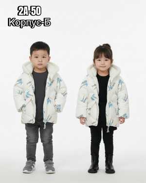 Изображение 1