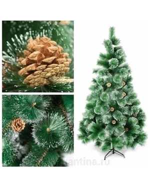 Изображение 1