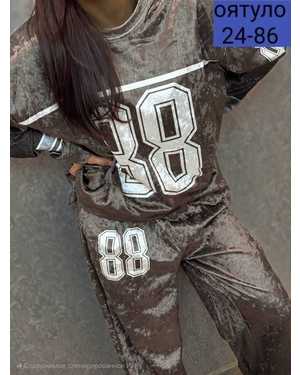 ЖЕНСКИЙ КОСТЮМ ДВОЙКА ТКАНЬ БАРХАТ