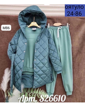 КОСТЮМ ТРОЙКА Ткань: Флис с начёсом Куртка с подкладкой