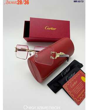 Очки мужские и женские ХАМЕЛЕОН КОМПЛЕКС : очки + коробка + фуляр + салфетки + мешок трикотаж