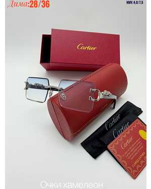 Очки мужские и женские ХАМЕЛЕОН КОМПЛЕКС : очки + коробка + фуляр + салфетки + мешок трикотаж