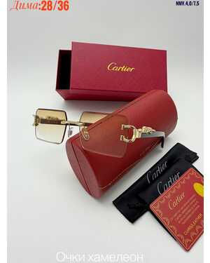 Очки мужские и женские ХАМЕЛЕОН КОМПЛЕКС : очки + коробка + фуляр + салфетки + мешок трикотаж