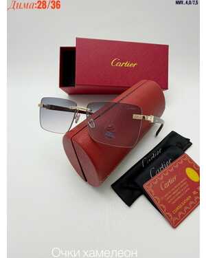 Очки мужские и женские ХАМЕЛЕОН