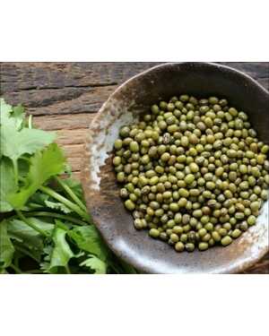 МАШ Новый урожай Узбекистан 1 кг