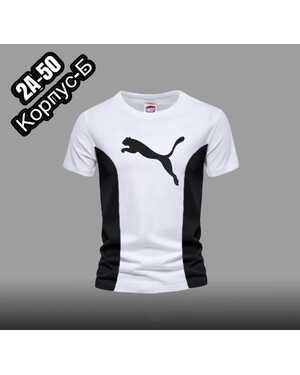 Футболка, хлопок в размер без выбора цвета