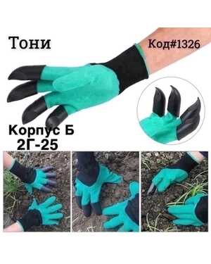 Изображение 1
